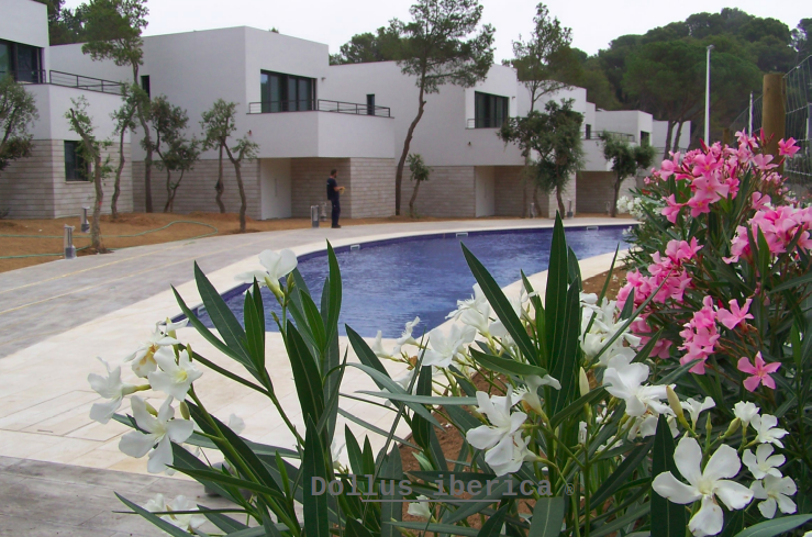 piscine et jardin